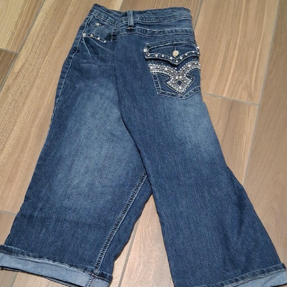 Earl Jeans Blue Flare Wide Leg Denim with Distressed Details
